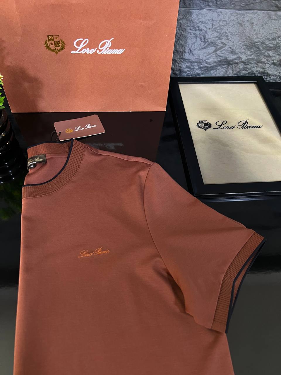 Loro Piana Brown Premium T-Shirt | Refined Elegance & Everyday Luxury